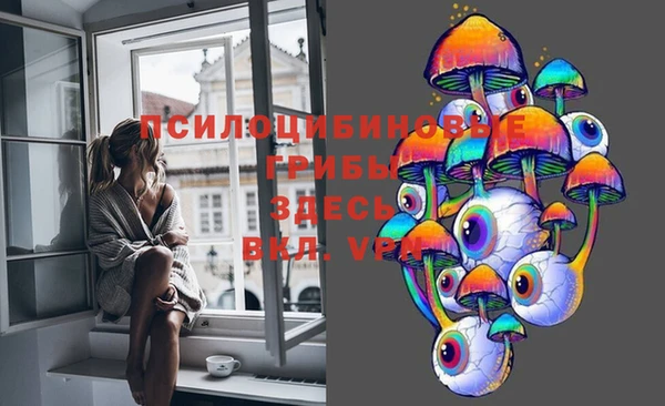 бутират Богданович