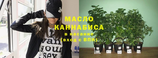 индика Балабаново