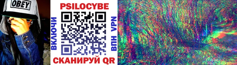 Купить  Великие Луки  Галлюциногенные грибы MAGIC MUSHROOMS 